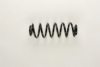 VW 1K0511115BT Coil Spring